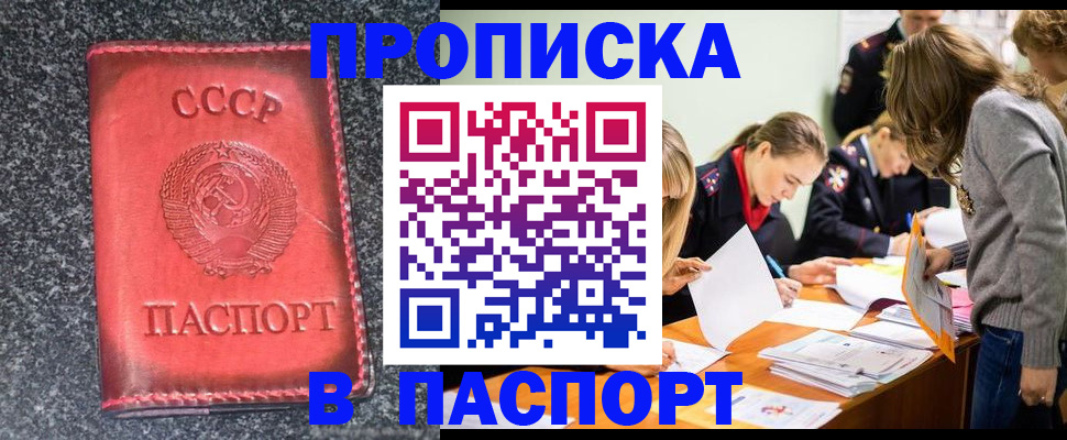 прописка для школы в Кудрово